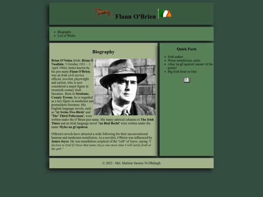 flann/flann screenshot