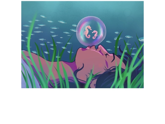 image 4/image screenshot
