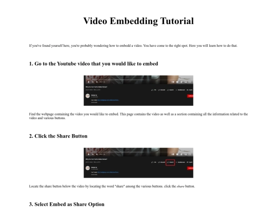video screenshot