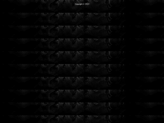 footer screenshot