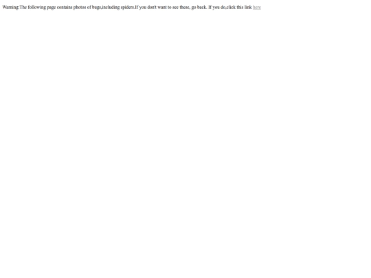 warning screenshot