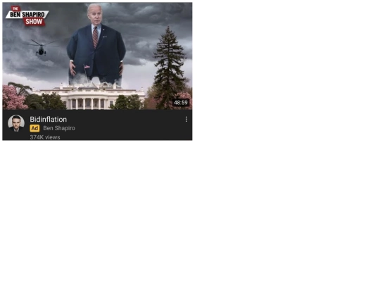 biden screenshot