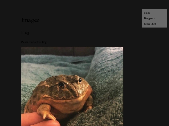 images screenshot