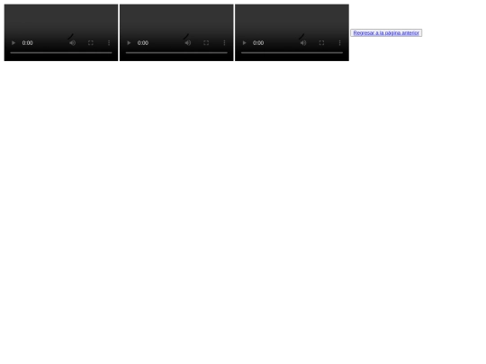 video screenshot
