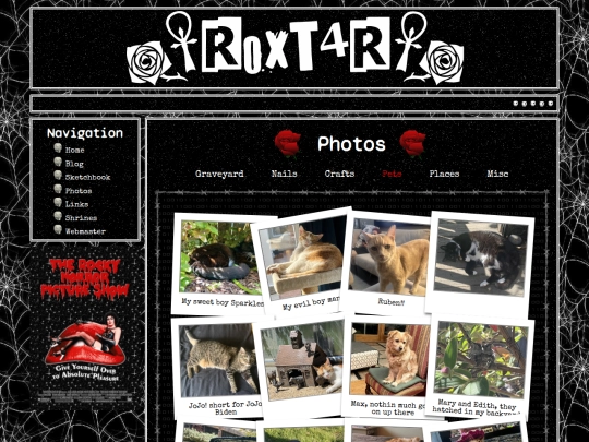 photography_pets screenshot