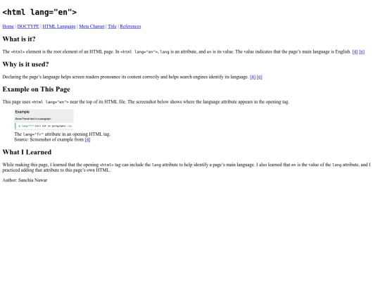 html-lang screenshot