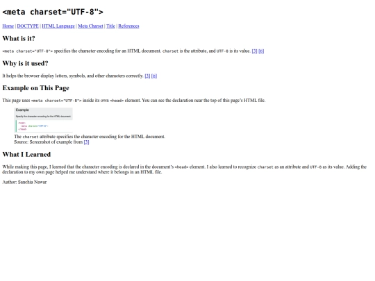meta-charset screenshot