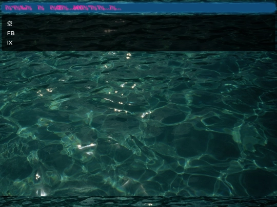 display screenshot