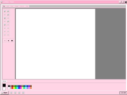 paint screenshot
