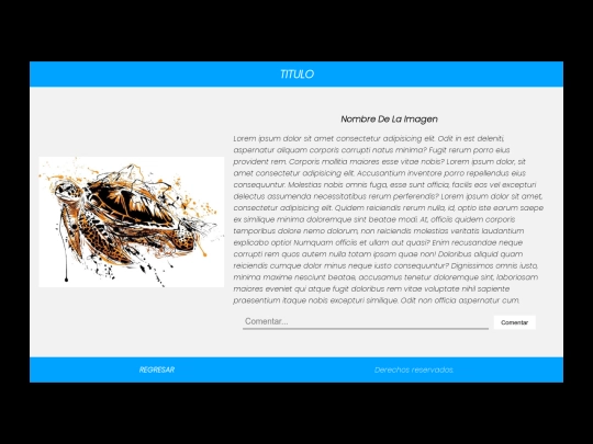 galeria/descripcionTortuga screenshot