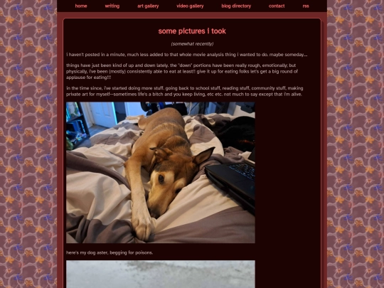 blog/6 screenshot