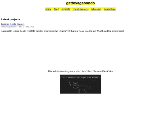 projects screenshot