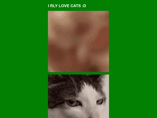 htmlstuff/ilikecats screenshot
