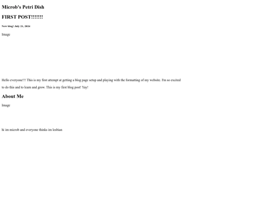 blogs screenshot