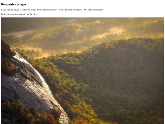 responsive screenshot