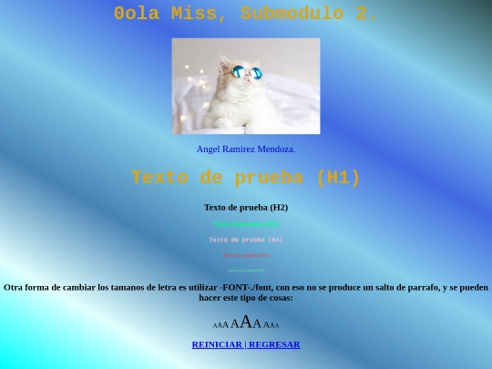 ejem_estilos screenshot