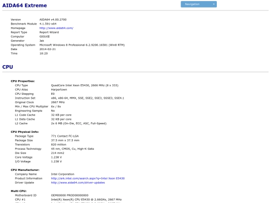 771/Aida Report with modded Bios screenshot