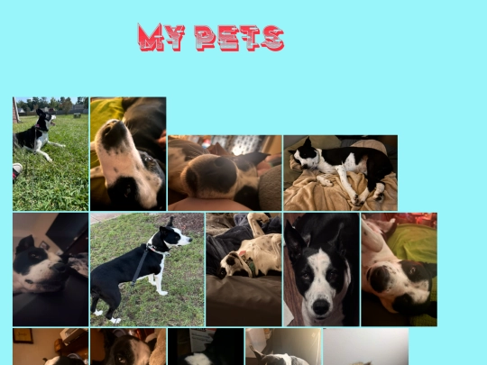 MyPets screenshot