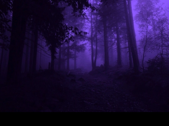 music screenshot