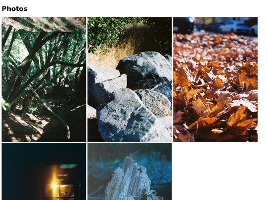 photo screenshot