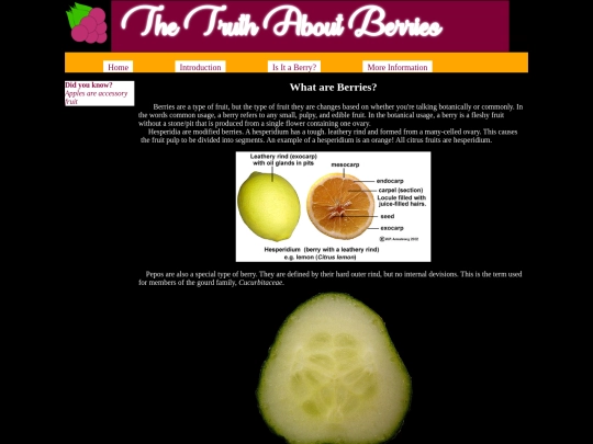 berry/introduction screenshot