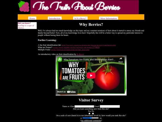 berry/moreinfo screenshot