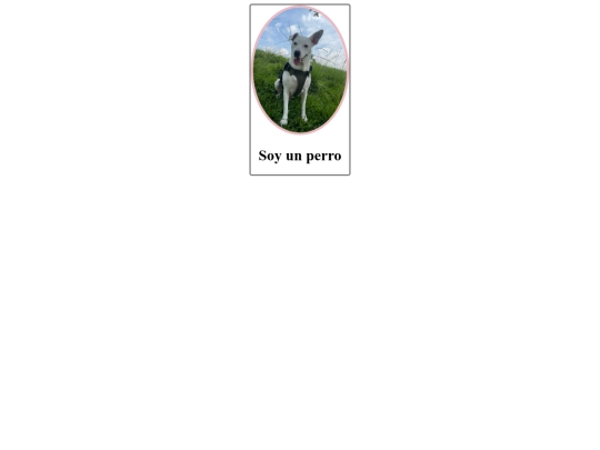 Soy un perro/Soyunperro screenshot