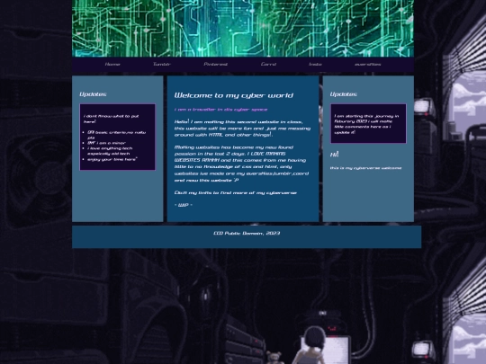 website2 screenshot