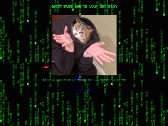 text_adventure/morbphius screenshot