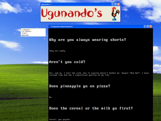 faq screenshot