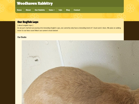 rabbits screenshot