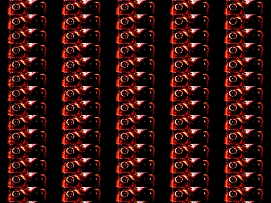 noah screenshot
