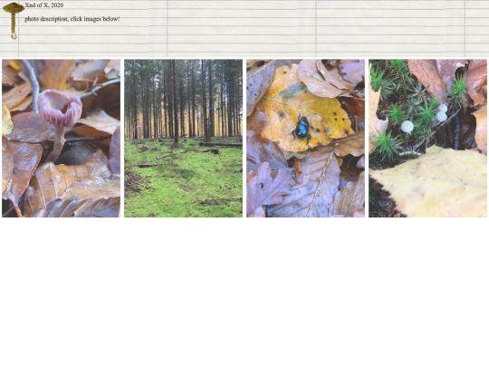 entries/day1 screenshot