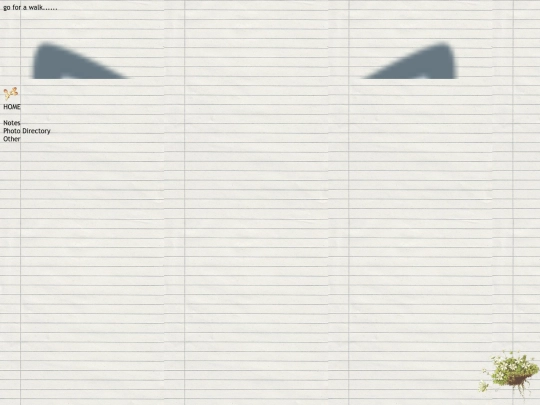 navigation screenshot
