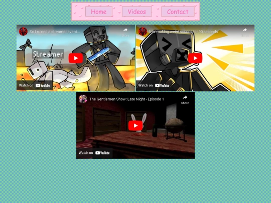 portfolio/videos screenshot