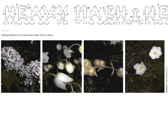 flowers-dithered screenshot