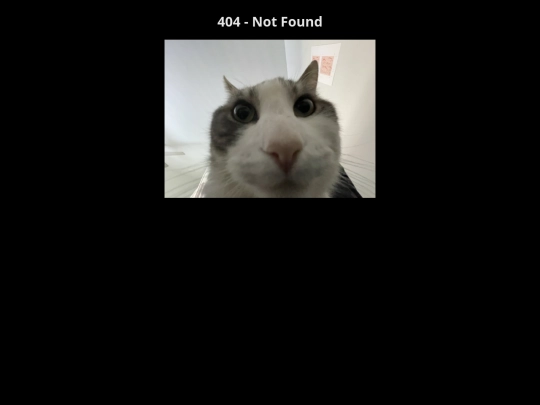 not_found screenshot