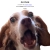 The website of puppytime avatar