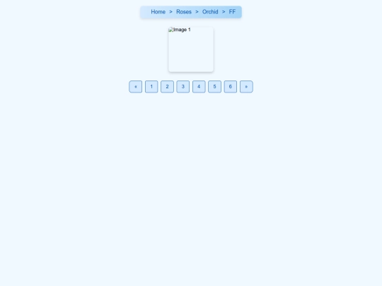 foreign1 screenshot