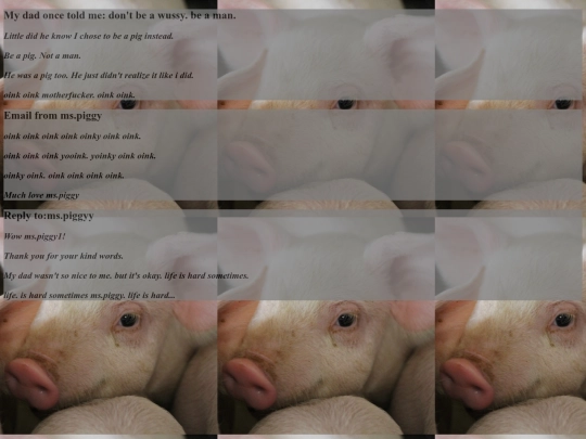 beapig screenshot