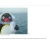 monos-codebase.neocities.org avatar