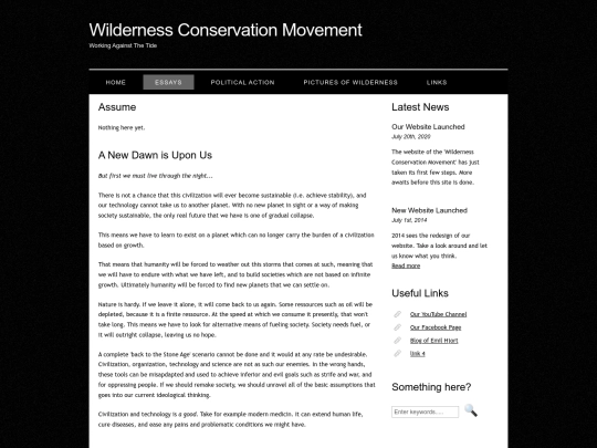 conservation_project/endnu_mere/essays screenshot