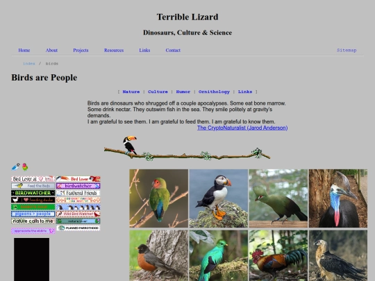 birds screenshot