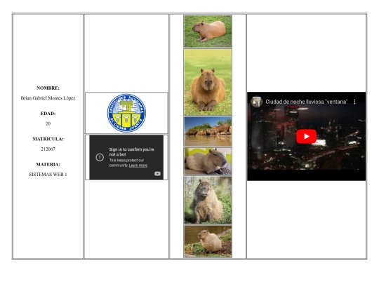 212067_BRIAN_GABRIEL_MONTES_LOPEZ_Examen screenshot