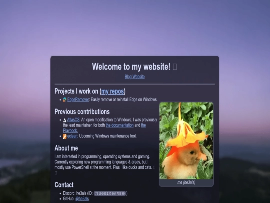 index screenshot