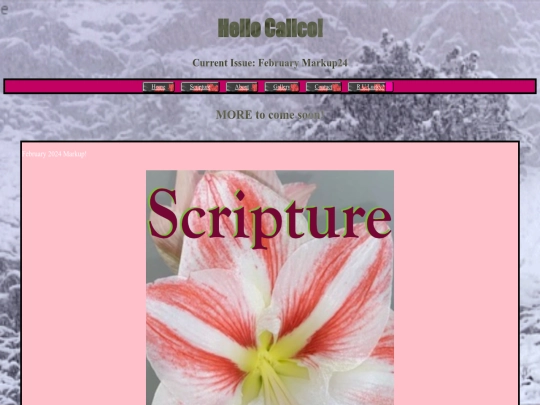 Issue screenshot