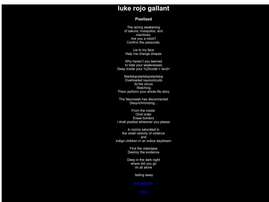 pixelized screenshot
