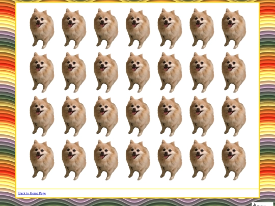 pomeranian/pomeranian screenshot