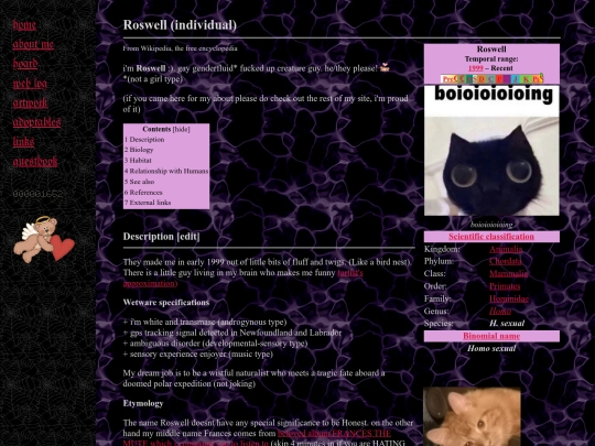 gayboy screenshot