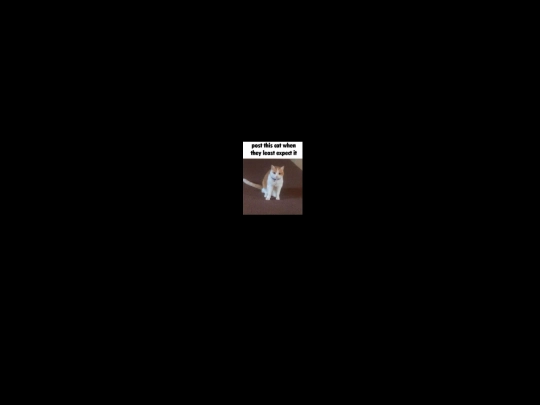 fun_stuff screenshot